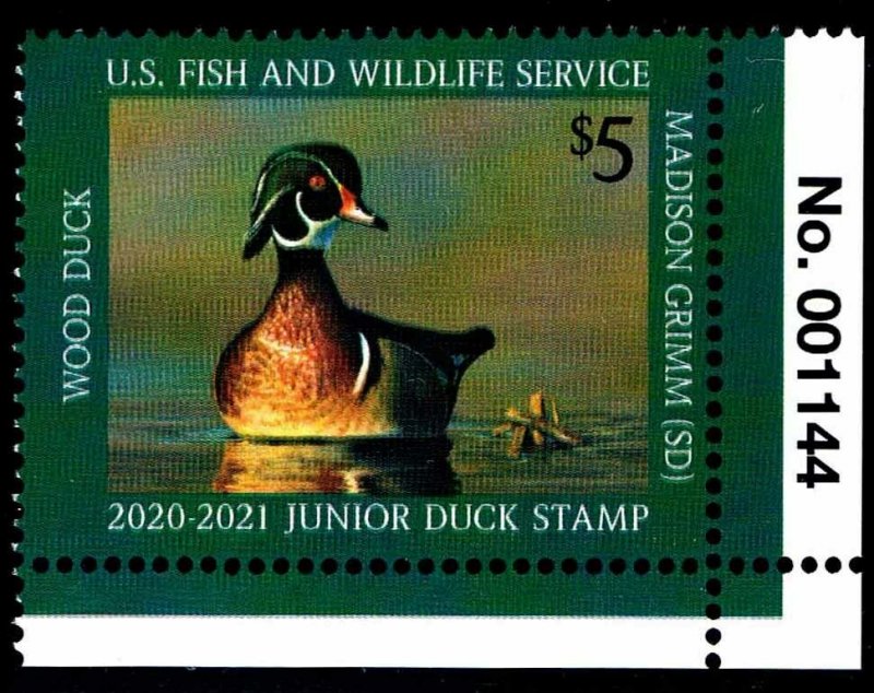 JDS 28 2020/21 **PNS** Junior Federal Duck Stamp Single - OGNH - XF  (ESP-8)