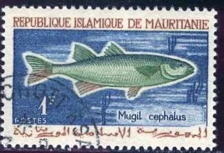 Mauritania 1964: Sc. # 177; O/Used CTO Single Stamp