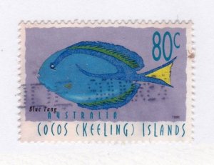 Cocos Islands      309              used            Fish