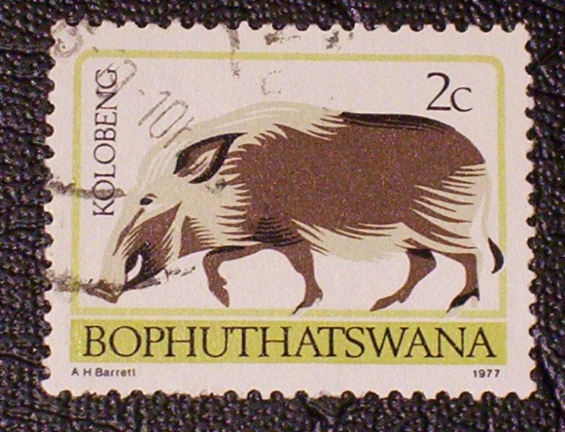 South Africa - Bophuthatswana Scott #6a used