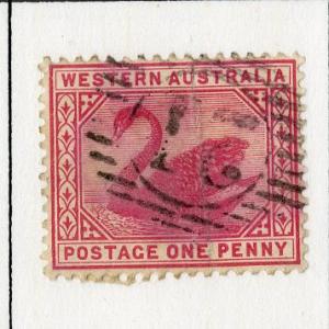 WESTERN AUSTRALIA 62 (PERF 14 WMK 2) USED SCV $2.00 BIN $0.80 BIRDS