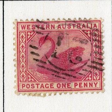 WESTERN AUSTRALIA 62 (PERF 14 WMK 2) USED SCV $2.00 BIN $0.80 BIRDS