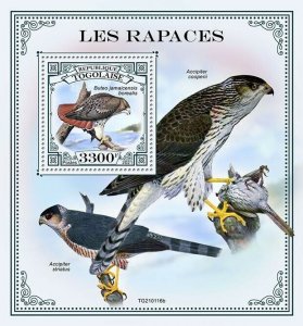 Togo 2021 MNH Birds of Prey on Stamps Hawks Eastern Red-Tailed Hawk 1v S/S