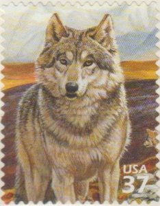 3802e, Single. Gray Wolf MNH, .37 cent