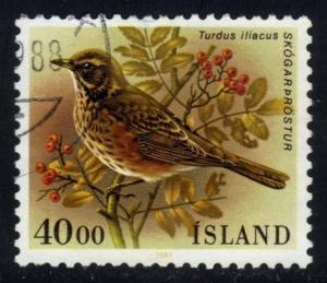 Iceland #643 Redwing Bird, used (0.70)