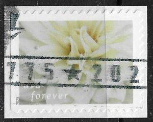 US ~ Scott # 5998 ~ Used on paper ~ Dahlias