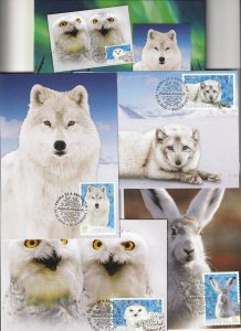 Romania POSTCARDS 2020 POLAR ANIMALS FOX OWL WOLF POST MAXI LOT