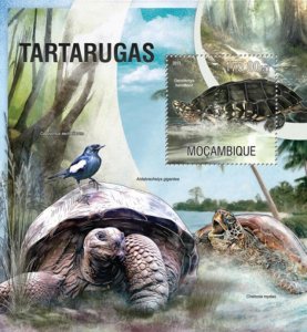 Mozambique - 2013 Turtles on Stamps -  Stamp S/S - 13A-1243