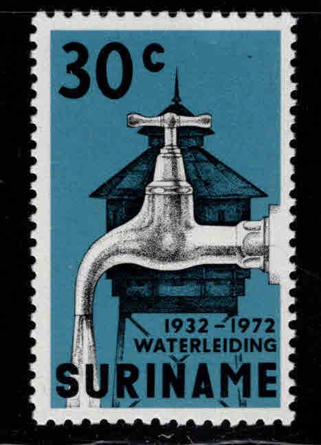 Suriname Scott 396 MNH**