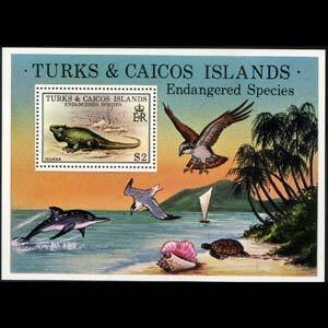TURKS & CAICOS 1979 - Scott# 385 S/S Iguana NH
