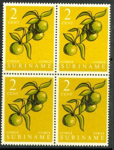 SURINAME 1961 2c CITRUS FRUIT Pictorial Block of 4 Sc 285 MNH