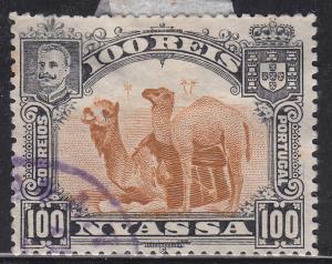 Nyassa 35 Camels Resting in the Sand 1901