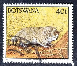 Botswana #528 Used FVF   