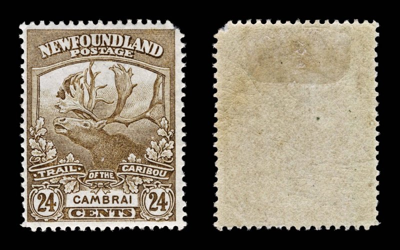 4336: Newfoundland SG155 24c Bistre Brown. 1923. Sc#137 Mi120 LMM Mint. C£32