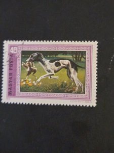 +Hungary #2135         CTO