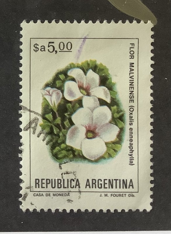 Argentina 1983  Scott 1438 used  - 5p,  Flowers,  Flor Malvinense