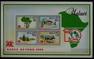 Malawi 573a MNH s/s Nature SCV16