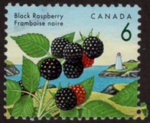 1353v Edible Berries Definitives