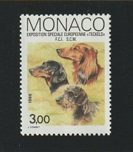 EDSROOM-7776 Monaco 1621 H 1988 Complete Monte Carlo Dog Show