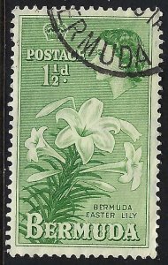 Bermuda 145 VFU FLOWER 720B-6