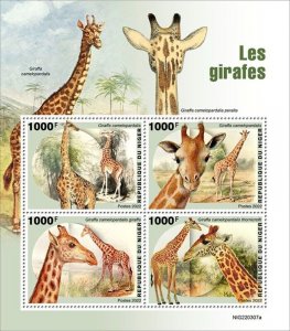 Niger - 2022 Giraffes, South African, Thornicroft's - 4 Stamp Sheet - NIG220307a