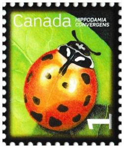 Canada 2234 Beneficial Insects Convergent Lady Beetle 1c single MNH 2007