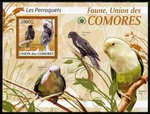 Comoro Islands 2009 Parrots perf s/sheet unmounted mint Y...