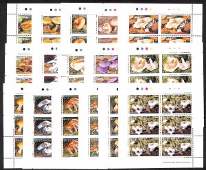 Guinea, Republic 1999, Mushrooms 16 m/s, MNH