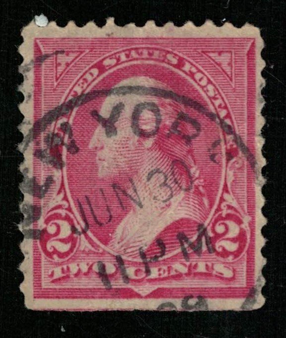 USA 1894-1895 George Washington 2с (ТS-1834)