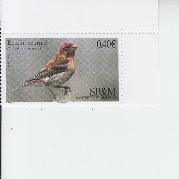 2016 St Pierre & Miquelon Purple FInch (Scott NA) mnh