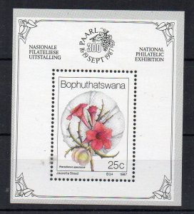 BOPHUTHATSWANA - FLOWERS - 1987 - MINIATURE SHEET -