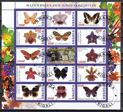 Rwanda, 2009 issue. Butterflies & Orchids sheet. Scout Label. C.T.O.^