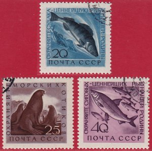 Russia - 1960 - Scott #2375-2377 - used - Fish Seal