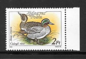 Hungary  #3136 MNH Crecca Ducks Single