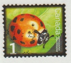 2234 Lady bug