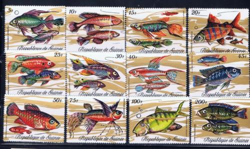 Guinea 570-81 NH 1971 Fish Set 