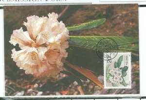 China (PRC) 2333 1991 20f Fictolacteum bloom FDC Postcard