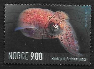 Norway #1391 9k Marine Life - Sepiola Atlantica