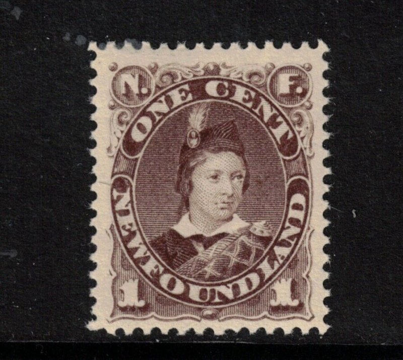 Newfoundland #43 Extra Fine Never Hinged **With Certificate** 