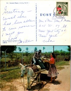 Jamaica, Picture Postcards