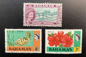 Bahamas #163,317,319 Used - Water sports, Fish Grouper, Flower Hibiscus