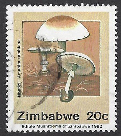 pb3352 Zimbabwe 658 used bin $.50