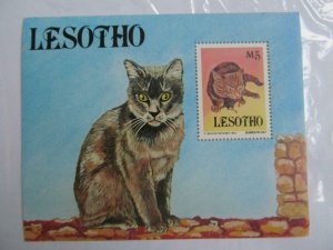 Lesotho M5 M/S MNH Domestic Cat