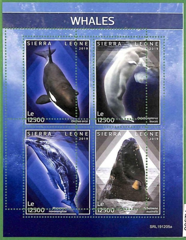 A2560 - SIERRA LEONE - ERROR: MISPERF, Miniature sheet -2019 Whales, Marine Life