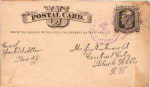 United States Nebraska Alma J. Guyer, P.M. 1880 serifed cds  Postal Card  Ton...