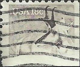 # 1889 USED PRONGHORN