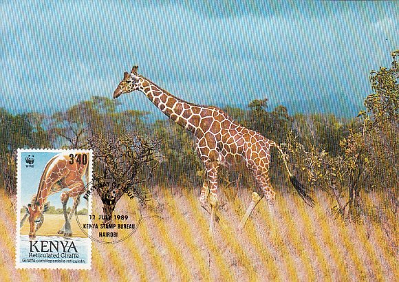 Kenya 1989 Maxicard Sc #492 3.40sh Reticulated giraffe WWF