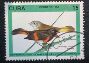 CUBA Sc# 3732  JUAN GUNDLACH BIRDS 15c   1996  used cto