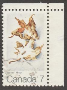 538 Maple Leaf - seasons