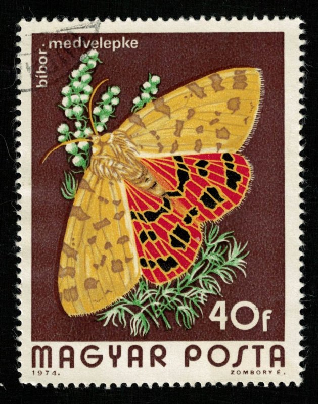 1974, Butterfly (Т-8593)